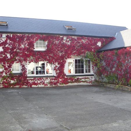 Townsend House Guest House Birr Εξωτερικό φωτογραφία