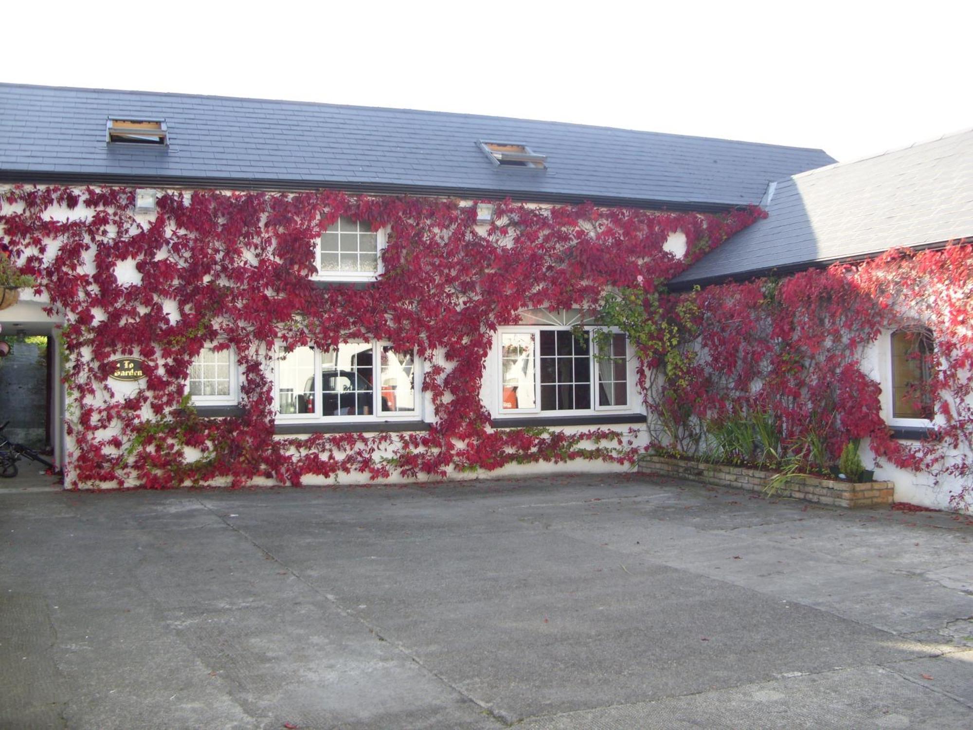 Townsend House Guest House Birr Εξωτερικό φωτογραφία