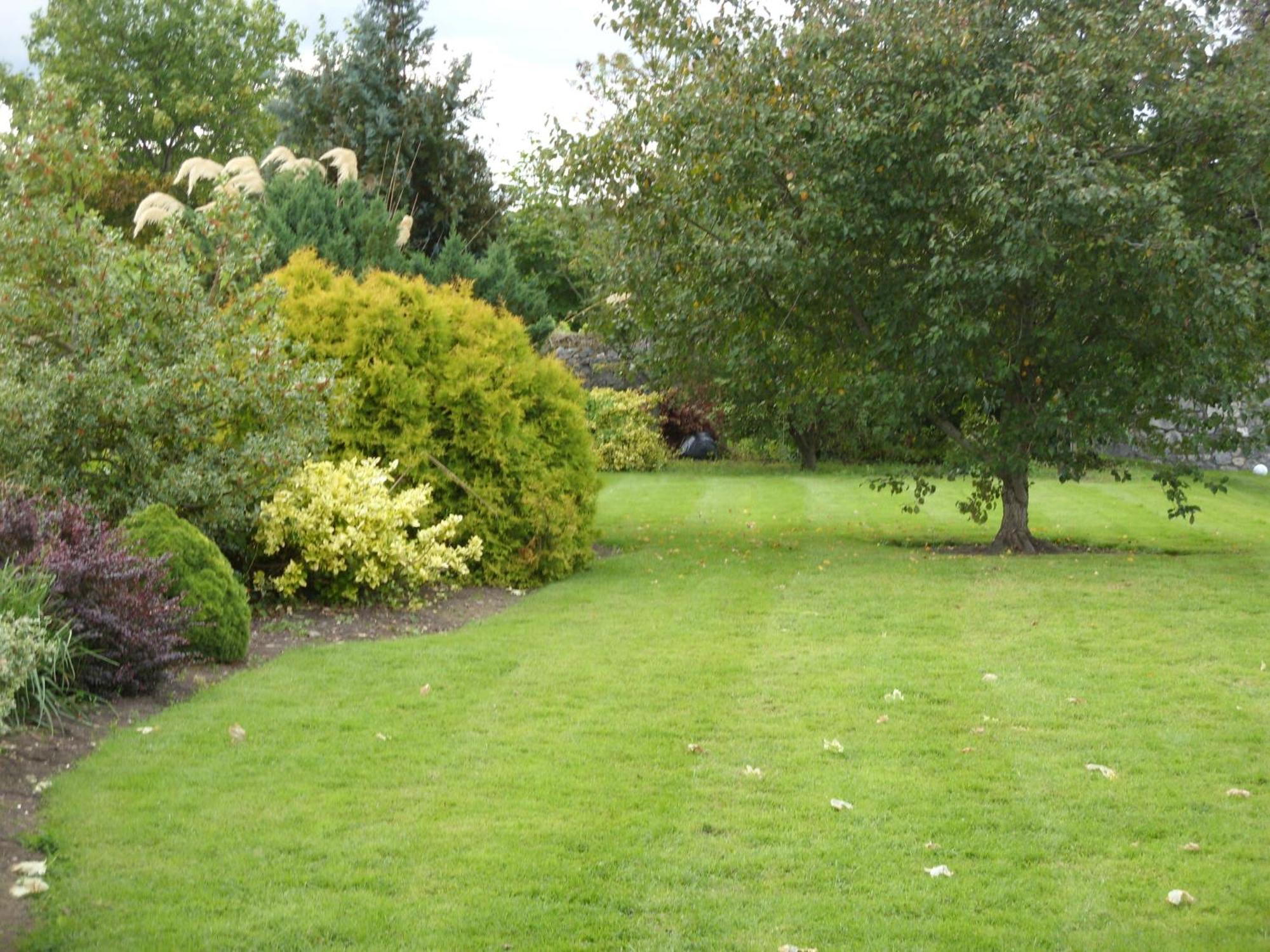 Townsend House Guest House Birr Εξωτερικό φωτογραφία
