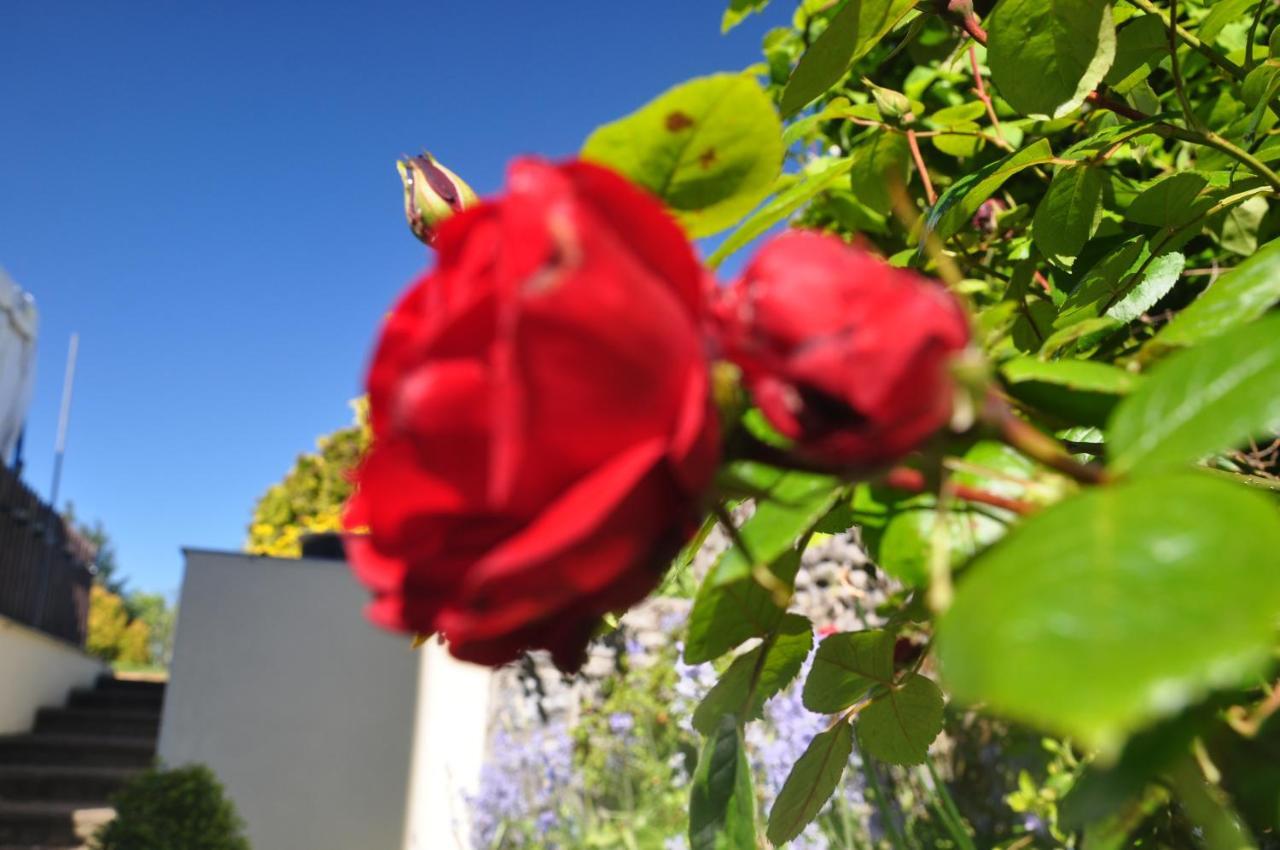 Townsend House Guest House Birr Εξωτερικό φωτογραφία